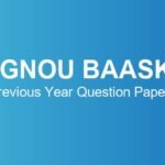 ignou-baask-previous-year-question-papers