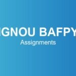ignou-bafpy-assignments