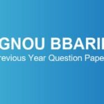 ignou-bbaril-previous-year-question-papers