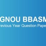 ignou-bbasm-previous-year-question-papers