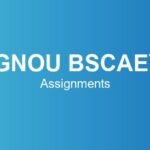 ignou-bscaey-assignments