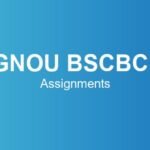 ignou-bscbch-assignments