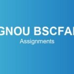 ignou-bscfan-assignments