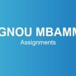ignou-mbamm-assignments