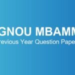 ignou-mbamm-previous-year-question-papers