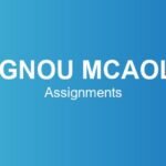 ignou-mcaol-assignments