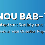 IGNOU BAB-102 Previous Year Question Papers – Download TEE Papers