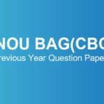 IGNOU BAG (CBCS) Previous Year Question Papers – Download June & December TEE